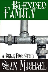 Book Cover: Blended Family