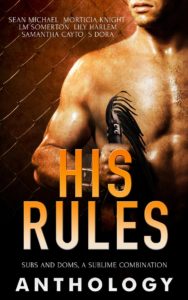 Book Cover: His Rules Anthology